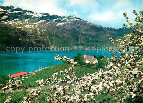 Norge Norwegen Ullensvang kirke ved Sorfjorden Hardang