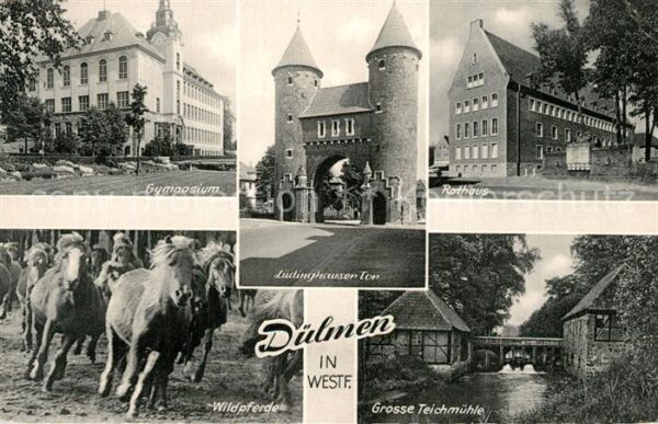 Duelmen Gymnasium Rathaus Lüdinghauser Tor Wild