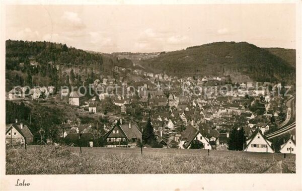 Calw Panorama