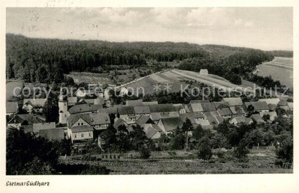 Steina Suedharz Panorama