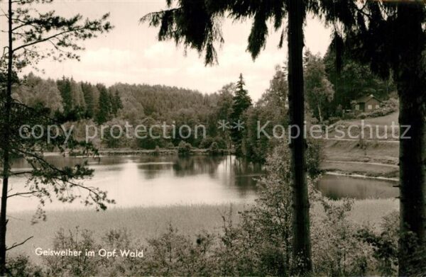 Flossenbuerg Partie am Gaisweiher Oberpfälzer Wald