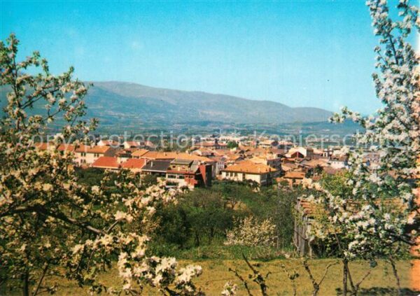 Fundao Panorama Primavera Frühling Baumblüte