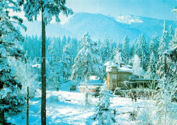 Borovez Pessako Ferienrestors Winterimpressione