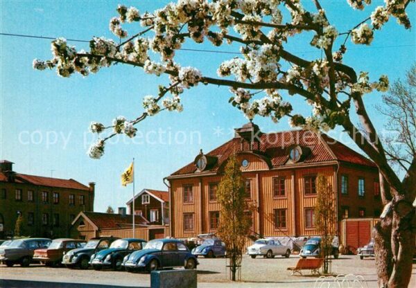 Mariefred Radhuset Rathaus Baumblüte