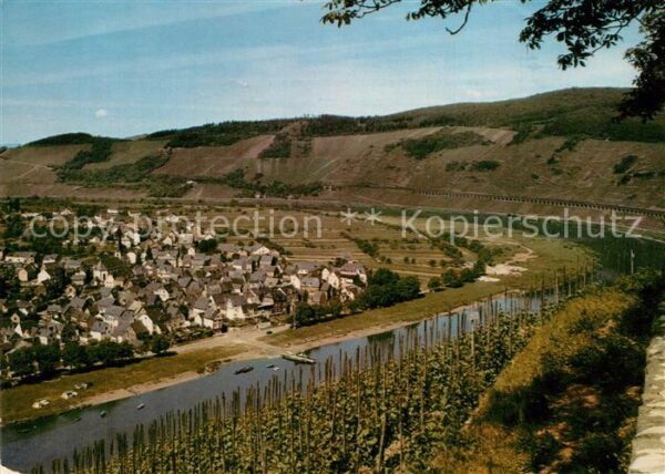 Puenderich Mosel Panorama Blick von der Marienburg Weinb