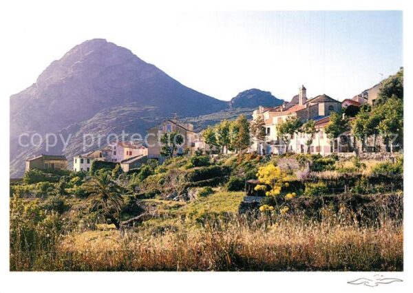 Minerbio Cap Corse