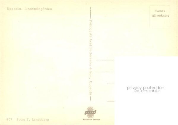 Uppsala Linnetr?dgarden – Bild 2