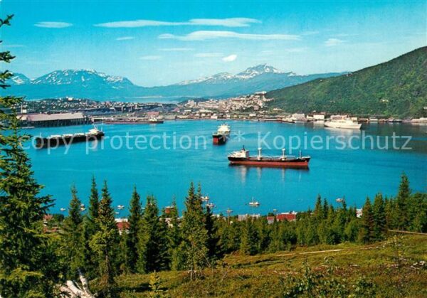 Narvik Utsikt fra Ankenes