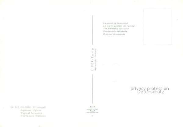 Olhão Acotelas típicas – Bild 2
