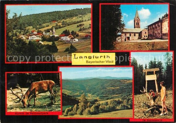 Langfurth Ansbach Panorama Kirche Hirsch im Nationalpark