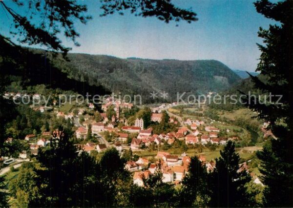 Hirsau Panorama