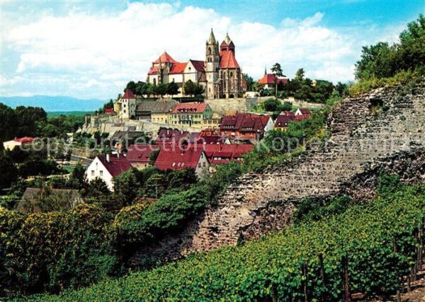 Breisach Rhein mit Münster