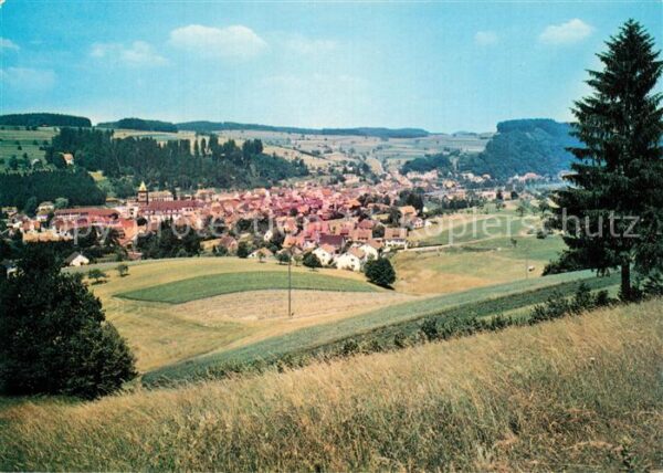 Elzach Panorama