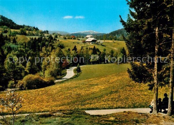 Hinterzarten Feldbergblick