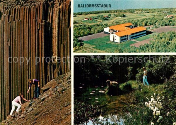 Hallormsstadur Island Sommerhotel Birkenwald S?ulenbasalt