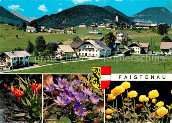 Faistenau Salzburg