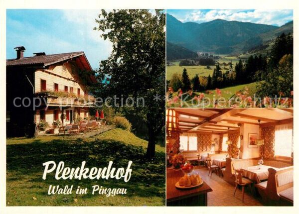 Wald Pinzgau Plenkenhof