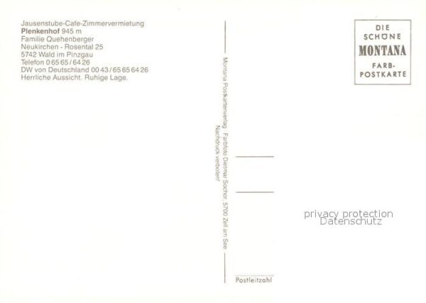 Wald Pinzgau Plenkenhof – Bild 2