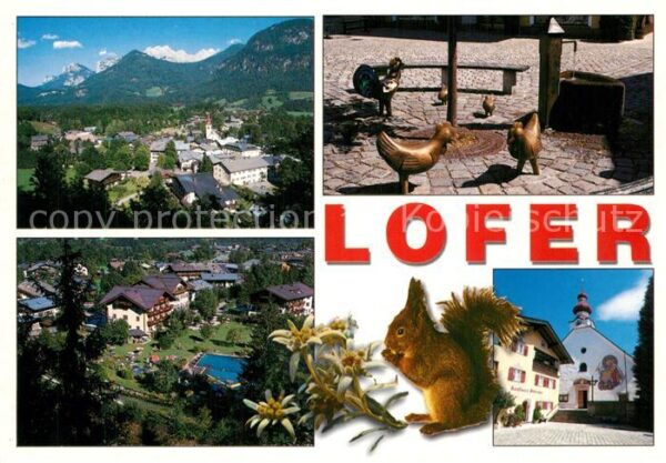 Lofer Eichh?rnchen