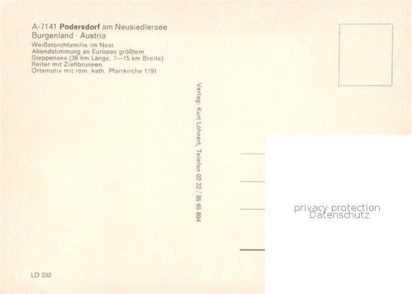 Podersdorf Neusiedler See Weissstorchfamilie Steppensee Pfarrkirc – Bild 2