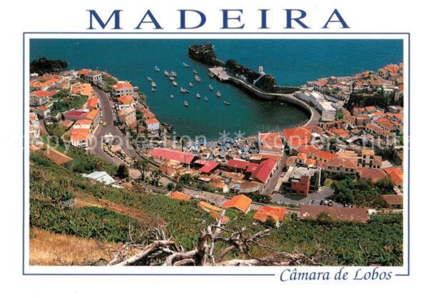 Camara de Lobos Madeira  Portugal Vista general do porto
