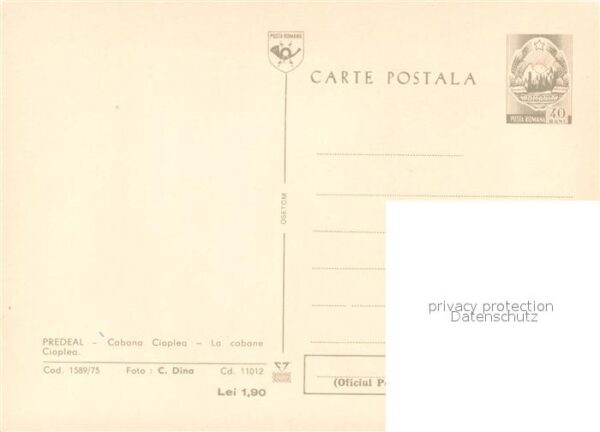 Predeal Cabana Ciaplea – Bild 2