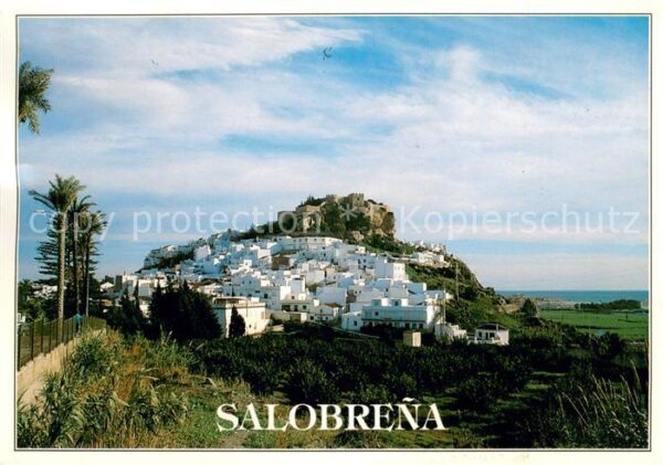 Salobrena Vista general