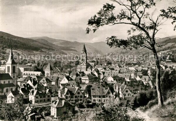 Munster Haut Rhin Elsass