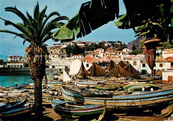 Camara de Lobos Madeira  Portugal Fischerboote