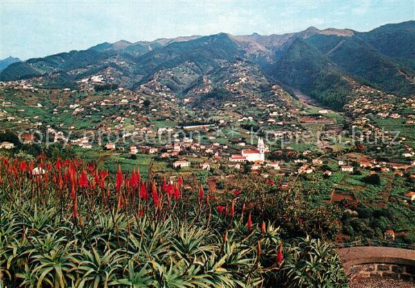 Ilha da Madeira Pico dos Barcelos