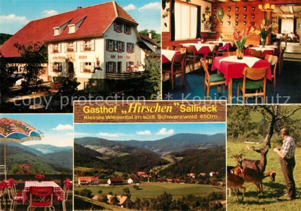 Sallneck Gasthof Hirschen Landschaftspanorama Kl