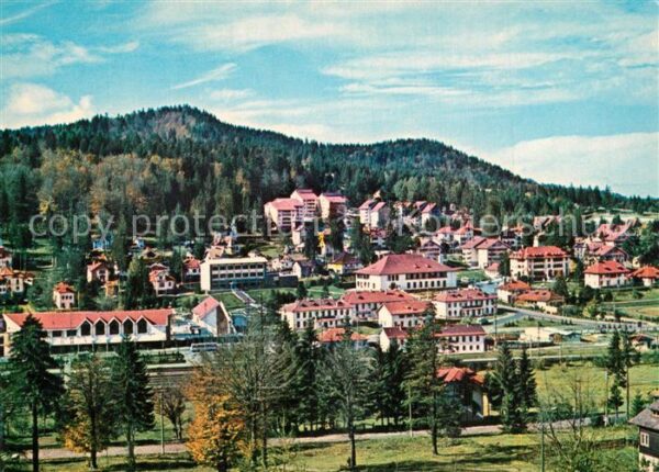 Predeal Panorama
