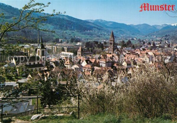 Munster Haut Rhin Elsass Panorama Luftkurort Hochvogesen