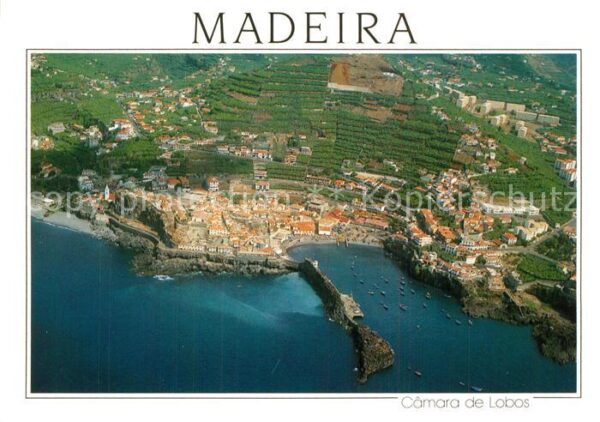 Camara de Lobos Madeira  Portugal Vista aérea da vila e do porto