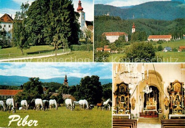 Piber Koeflach Staatsgestüt Lipizzaner Barockschloss R