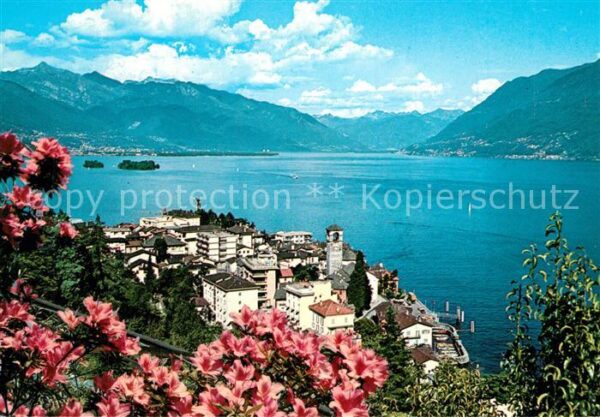 Brissago Lago Maggiore Panorama