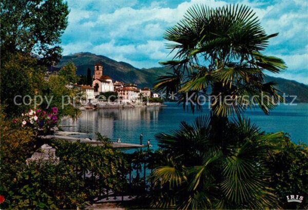 Brissago Lago Maggiore Panorama