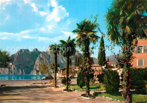 Torbole Lago di Garda Panorama