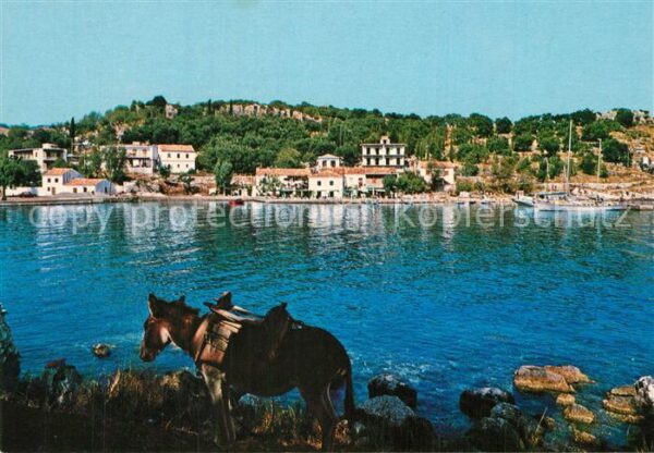Kassiopi Panorama