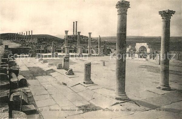 Timgad Ruines Romaines Marché