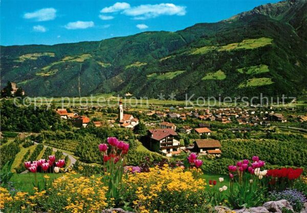 Naturns Panorama Blumen