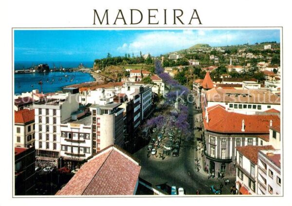 Funchal Vista parcial da cidade