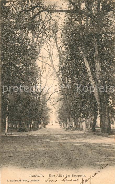 Luneville Allée des bosquets