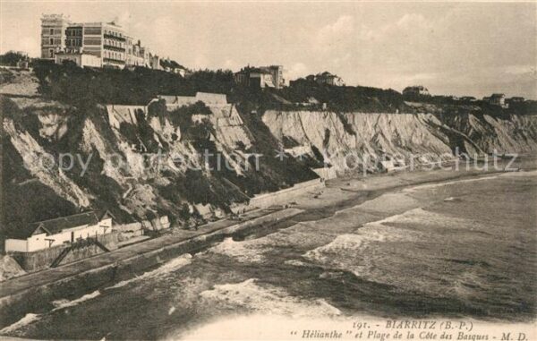 Biarritz Pyrenees Atlantiques Hélianthe et plage de la Côte des Basqu