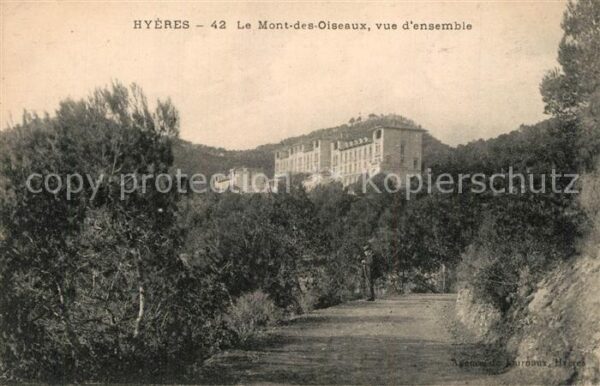 Hyeres les Palmiers Mont des Oiseaux Grand Hôtel