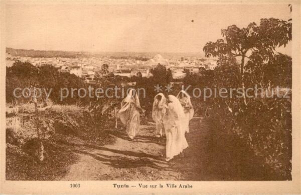 Tunis Vue sur la ville arabe