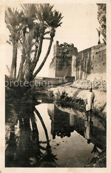 Marrakech Marrakesch Remparts et palmeraie