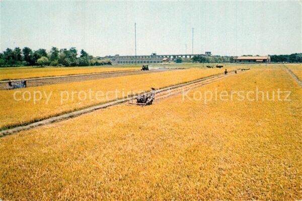 Ernte Landwirtschaft China