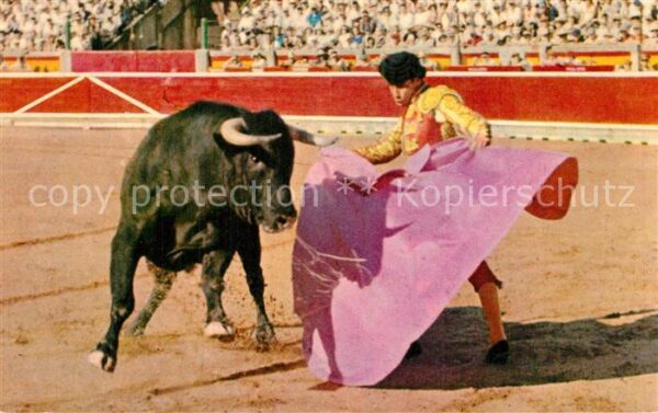 Stierkampf Chamaco Corrida de Toros Lance de Capa