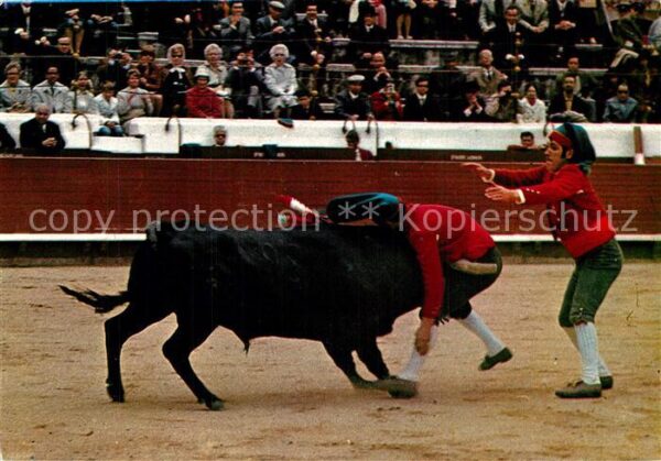 Stierkampf Lisboa Corrida de Touros Actuacao de Fo